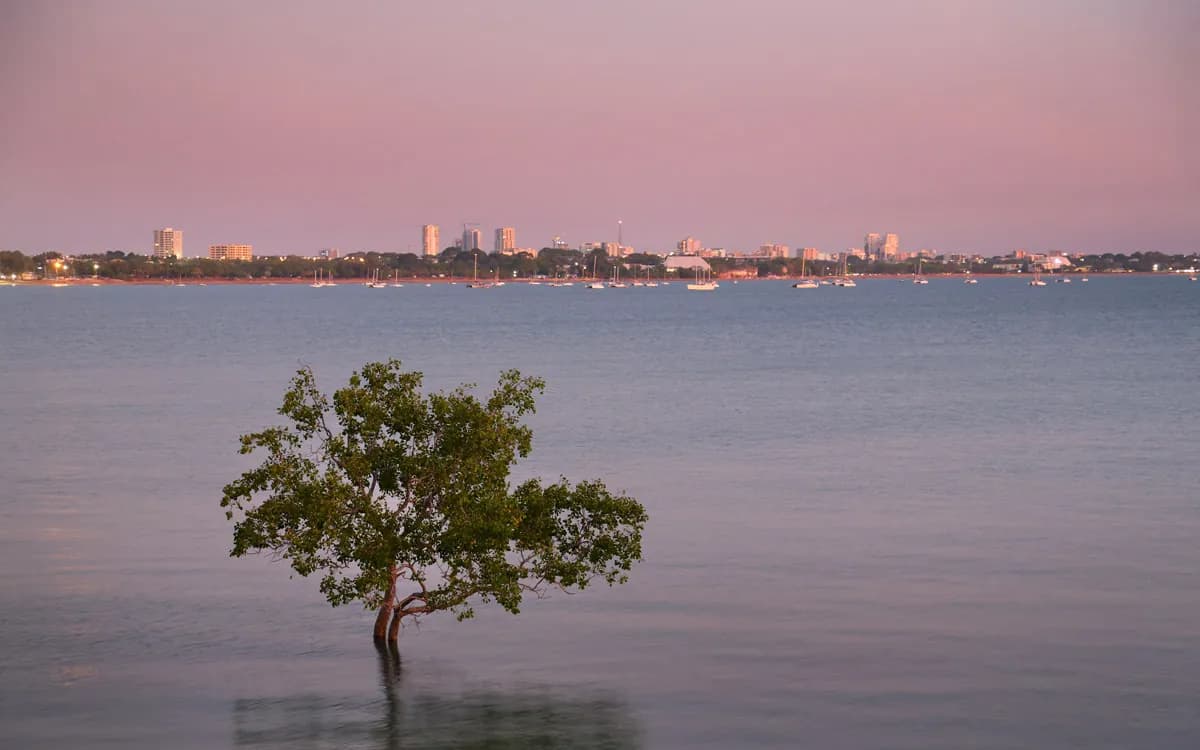 Darwin cruise port