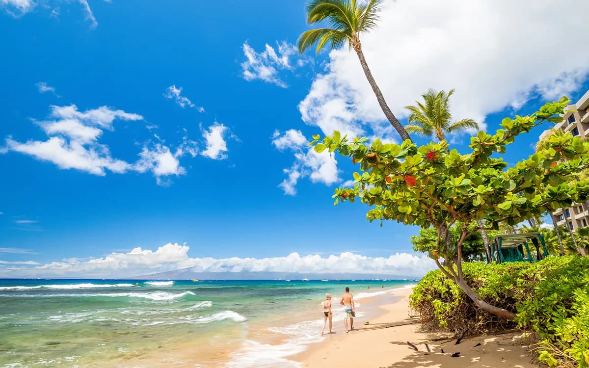 Lahaina cruise port