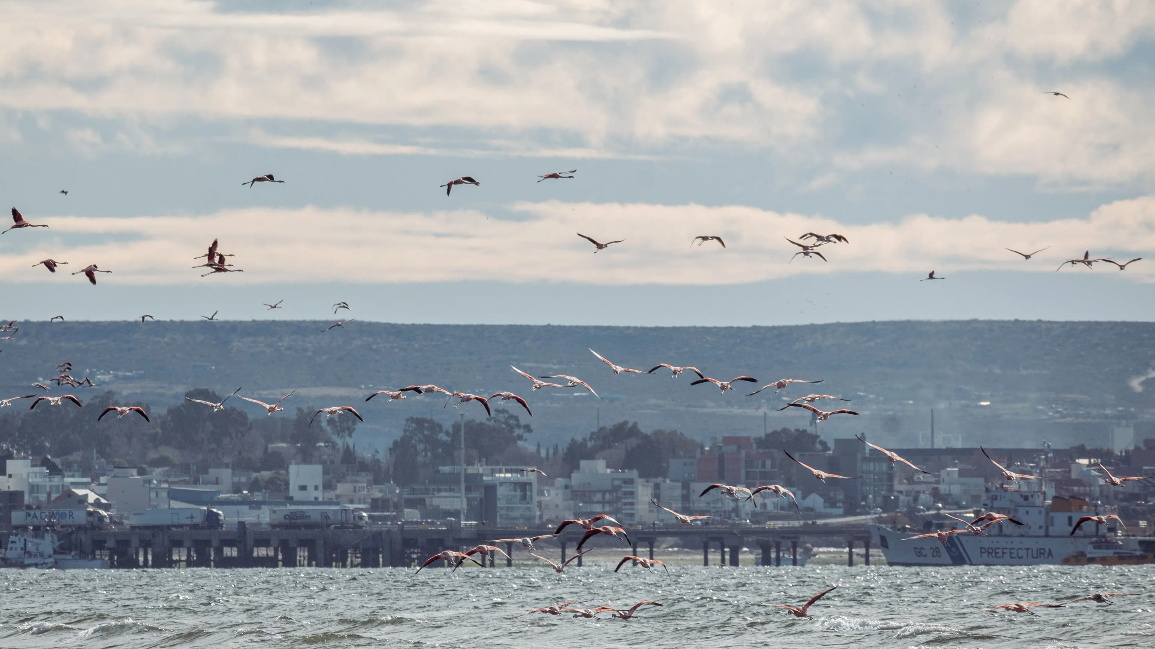 Puerto Madryn cruise port