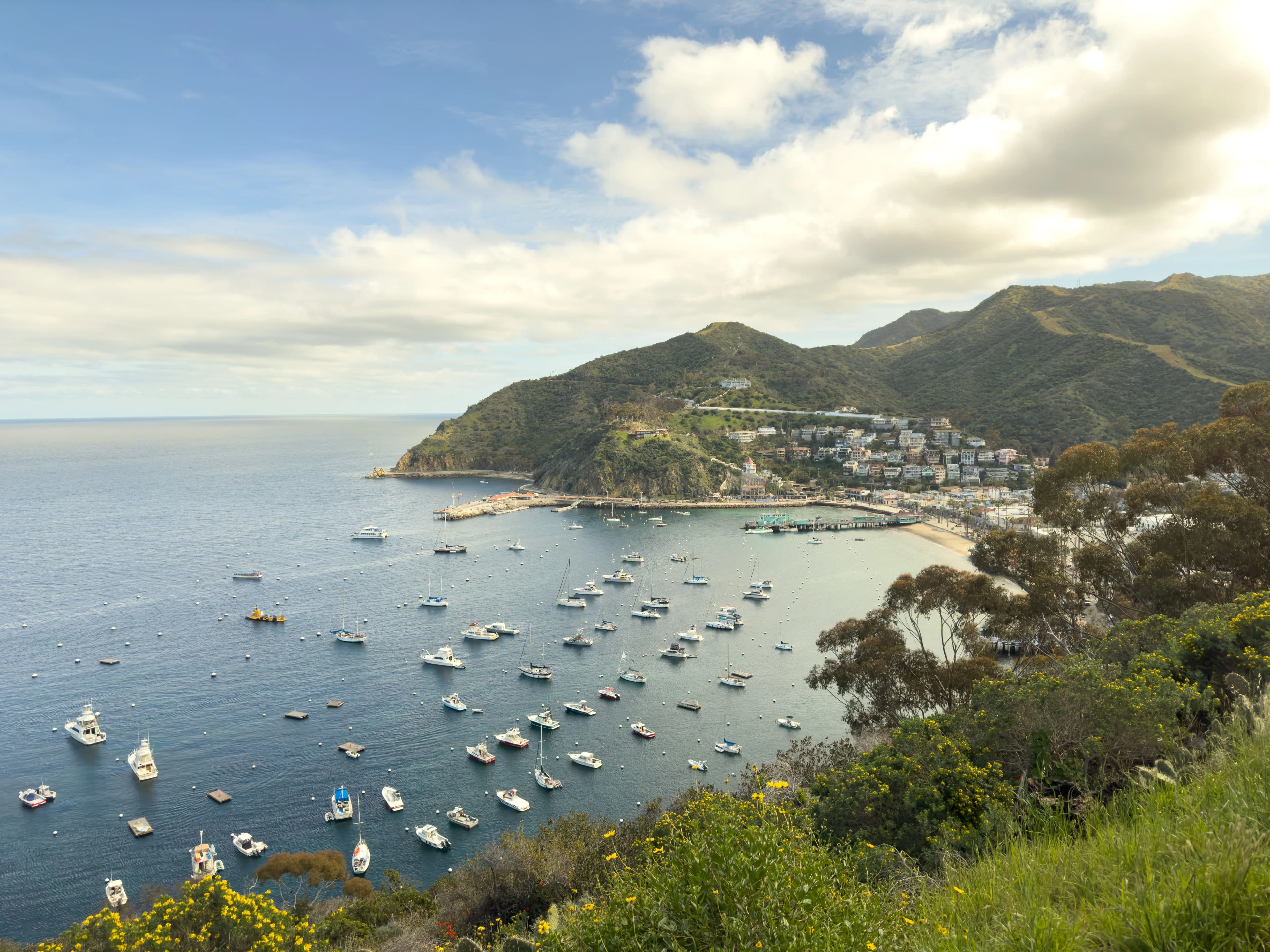 Santa Catalina Island CA cruise port