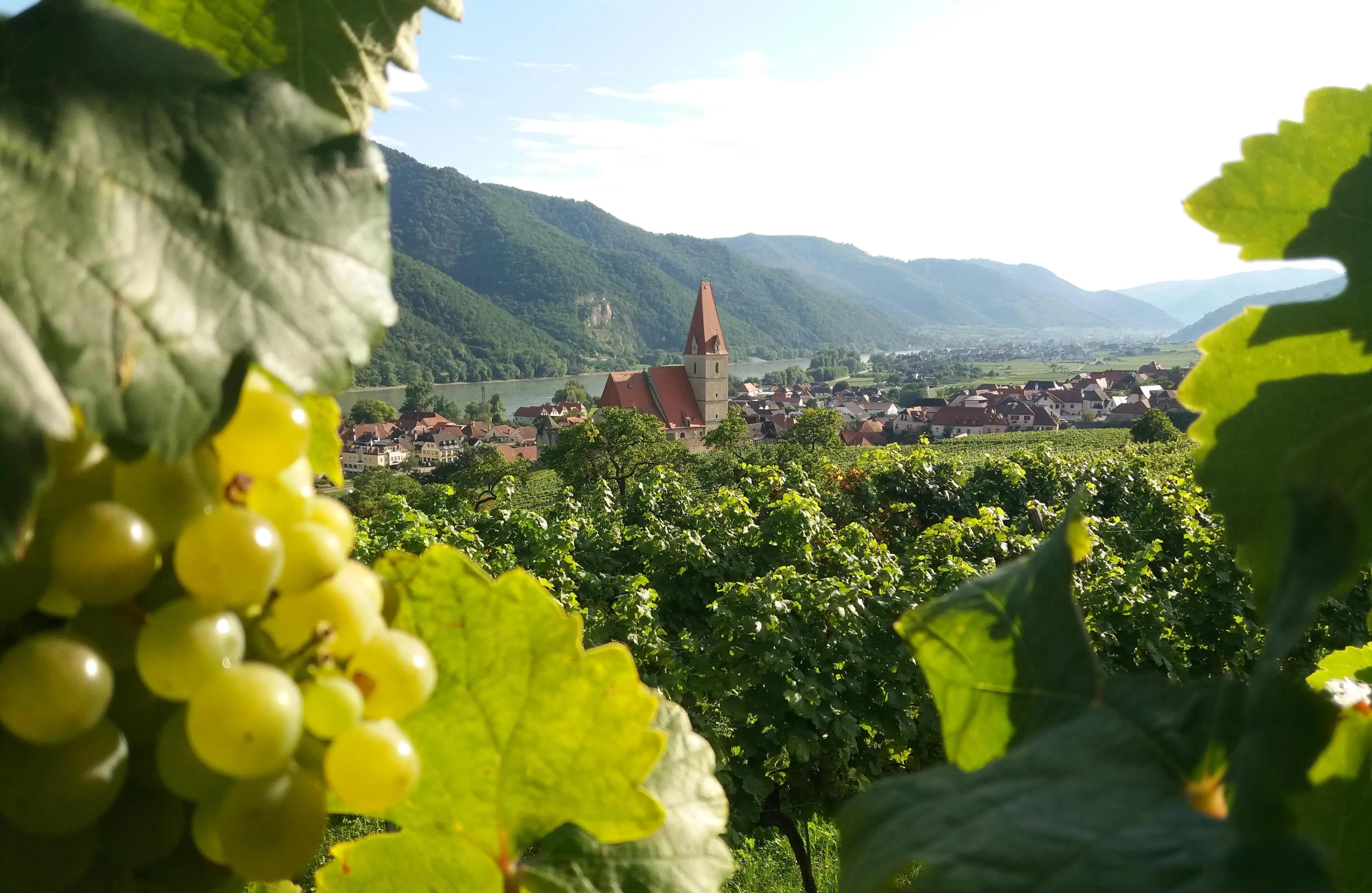 Weissenkirchen in der Wachau cruise port